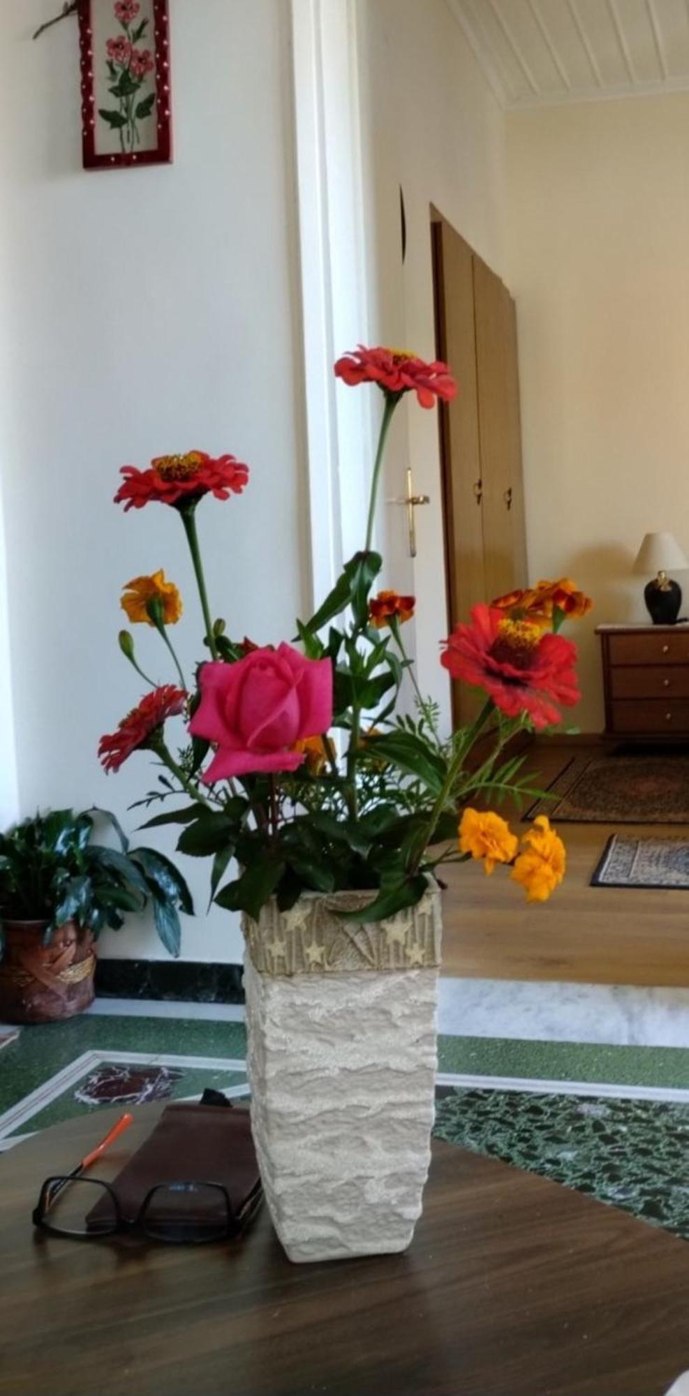 Tanias Appartement Siatista